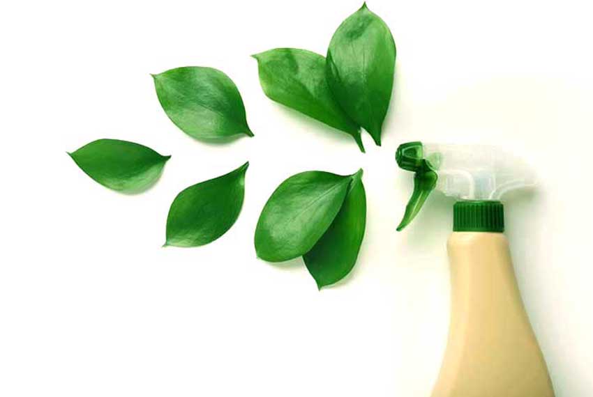 Ethical-and-Green Ethical-and-Green